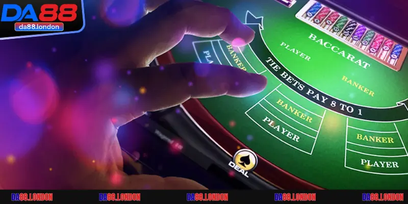 Theo dõi lịch sử cầu và phân tích xu hướng